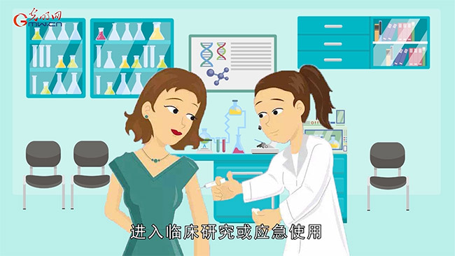 [新冠疫情]科技战疫系列动画⑤一支疫苗诞生要闯几道关？