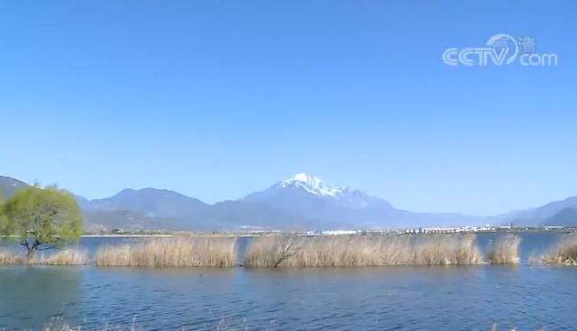 「云南丽」停业59天后 云南丽江首批旅行团开启“浪漫之旅”