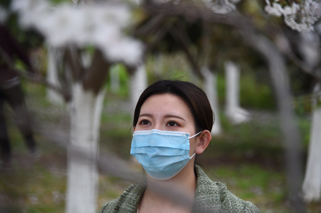 [段梦杰]春风十里，不如你的笑意