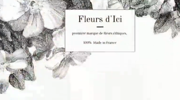 鲜花市场■法国鲜花市场遭遇“寒冬” 花农、花店经营者通过网上销售平台寻求出路
