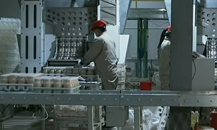 #中小微企业#江苏多措并举稳住经济基本盘 助力中小微企业开拓新市场