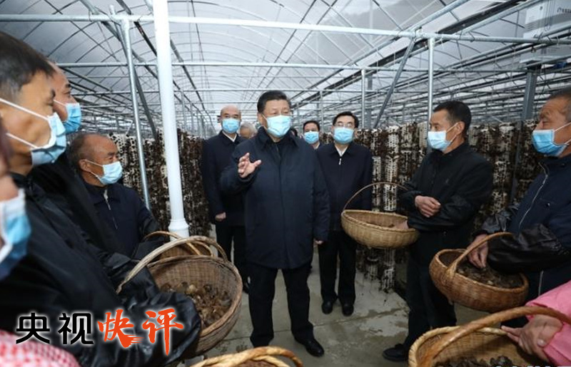 做好乡村振兴这篇大文章