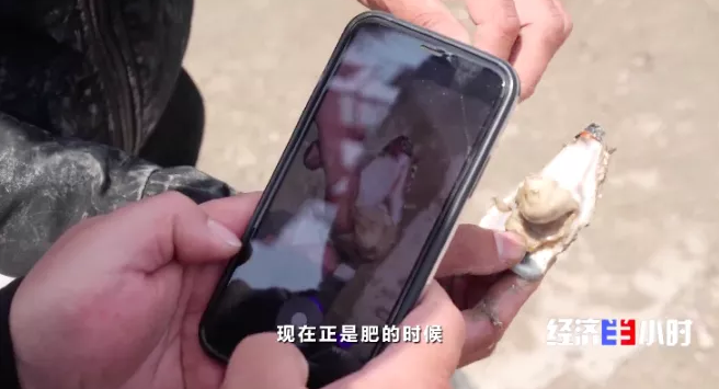 【粮食价格】他火了！理工博士、网红市长！频频登上热搜榜，金句频出的“带货王”