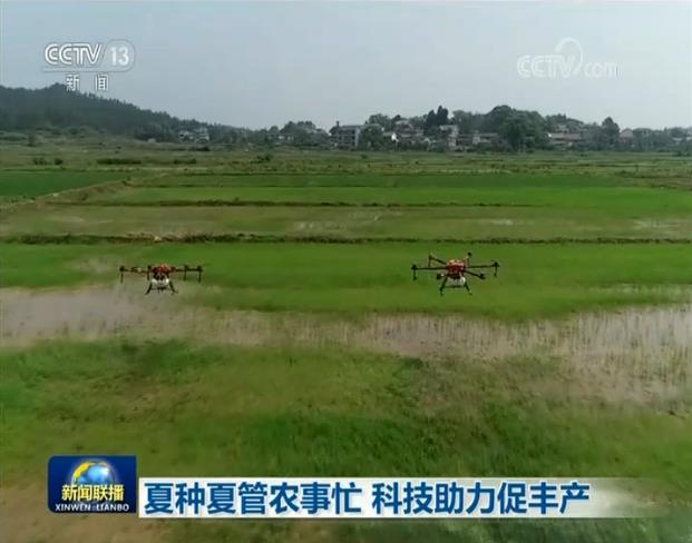 夏种夏种夏管农事忙 科技助力促丰产