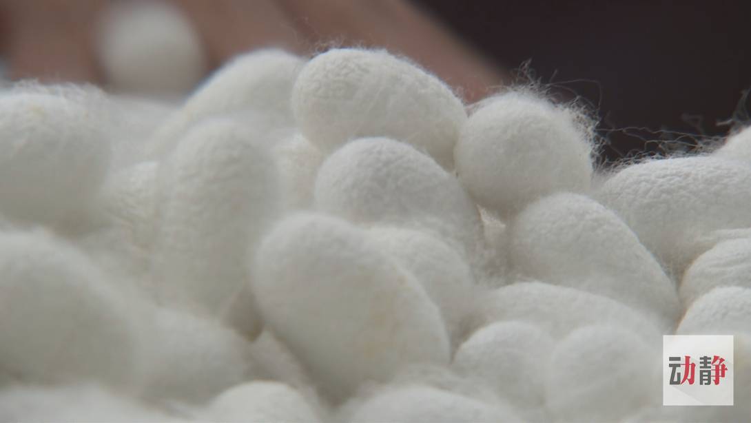 脱贫攻坚|【脱贫攻坚走基层·决战一线看落实】贵州纳雍：劳务就业扶贫何惧山高路远（上）