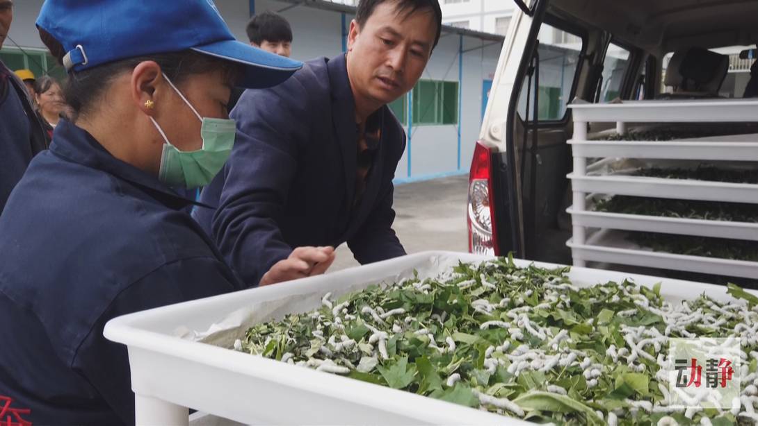 脱贫攻坚|【脱贫攻坚走基层·决战一线看落实】贵州纳雍：劳务就业扶贫何惧山高路远（上）