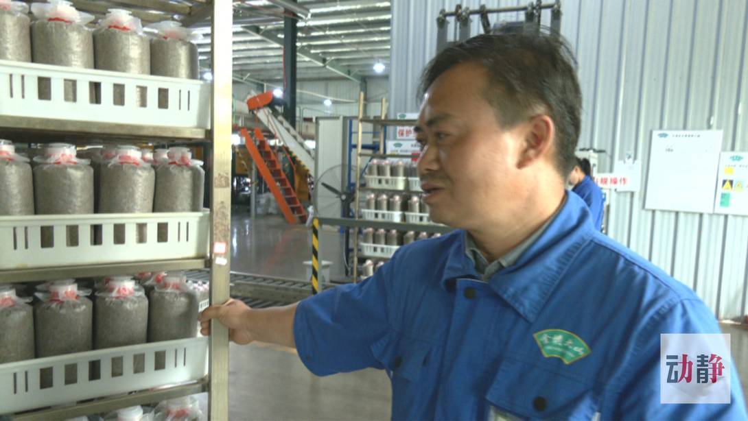 脱贫攻坚|【脱贫攻坚走基层·决战一线看落实】贵州纳雍：劳务就业扶贫何惧山高路远（上）