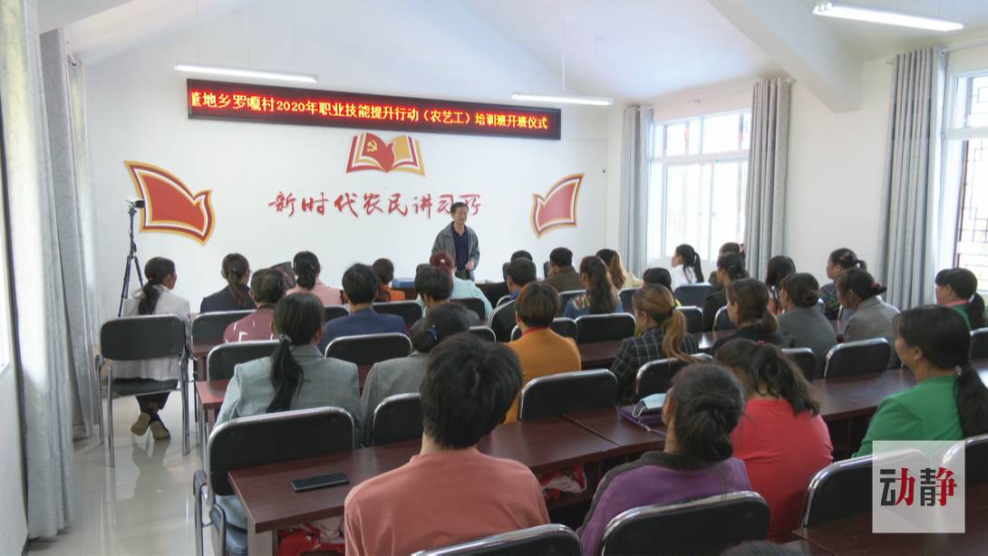 脱贫攻坚|【脱贫攻坚走基层·决战一线看落实】贵州纳雍：劳务就业扶贫何惧山高路远（下）