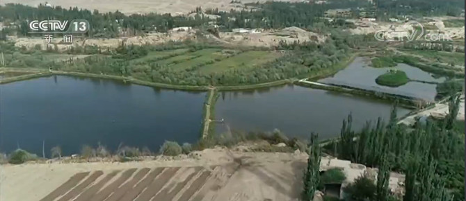 新疆土陶村脱贫记|新疆土陶村脱贫记·成立合作社 用双手创造幸福