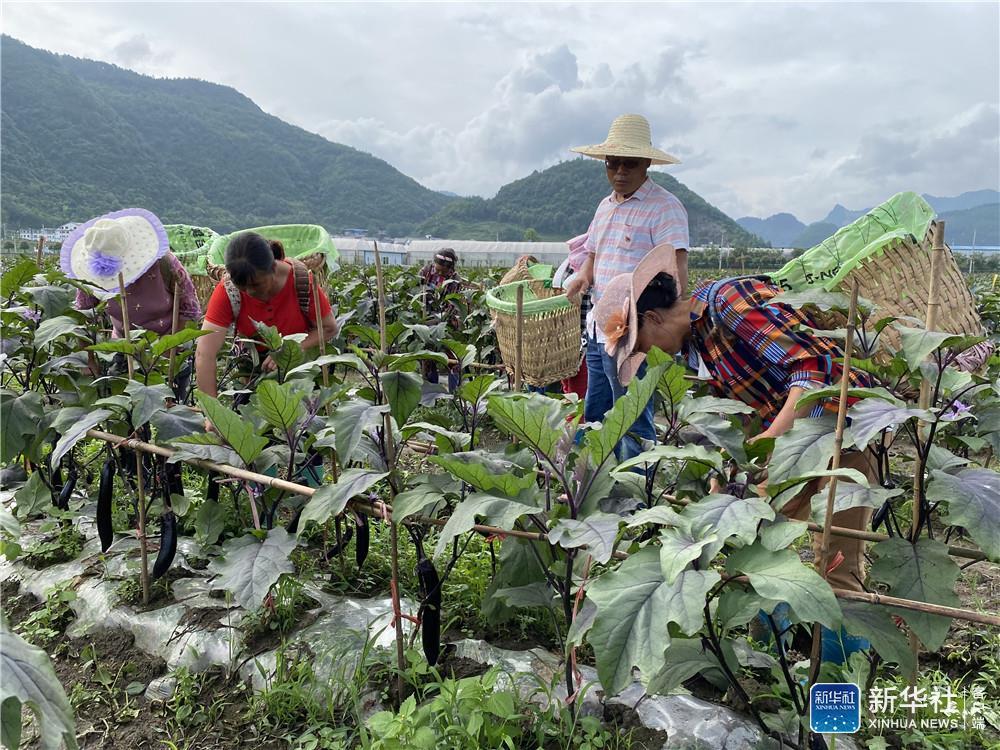 贵州|贵州：娄山关脚下坝区旧貌换新颜