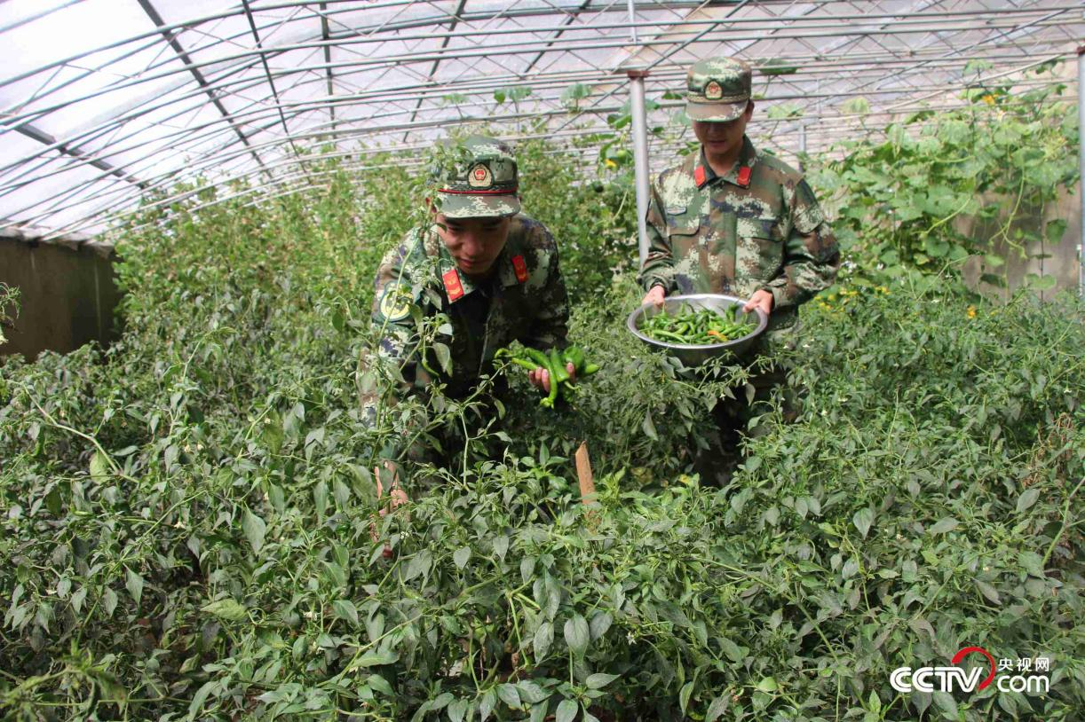 马攸木拉山与女儿悠悠 图5