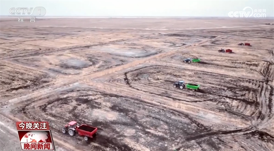 农田里的青春力量_科技新农人让盐碱地飘出稻花香 图5