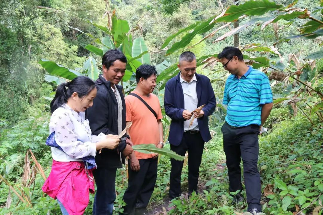 “地球褶皱”里的山海情 图1