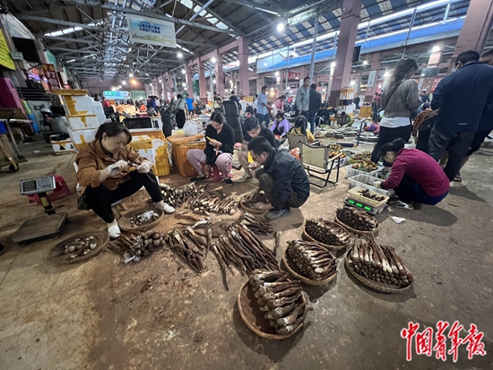 小小直播间，90后把家乡的野生菌卖向全国 图1