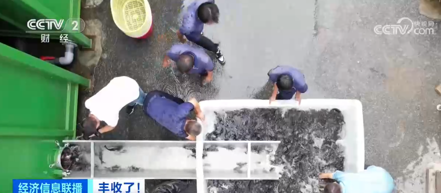 新农人陈金良：生态种养“工厂化”生产_年产值近亿元 图1