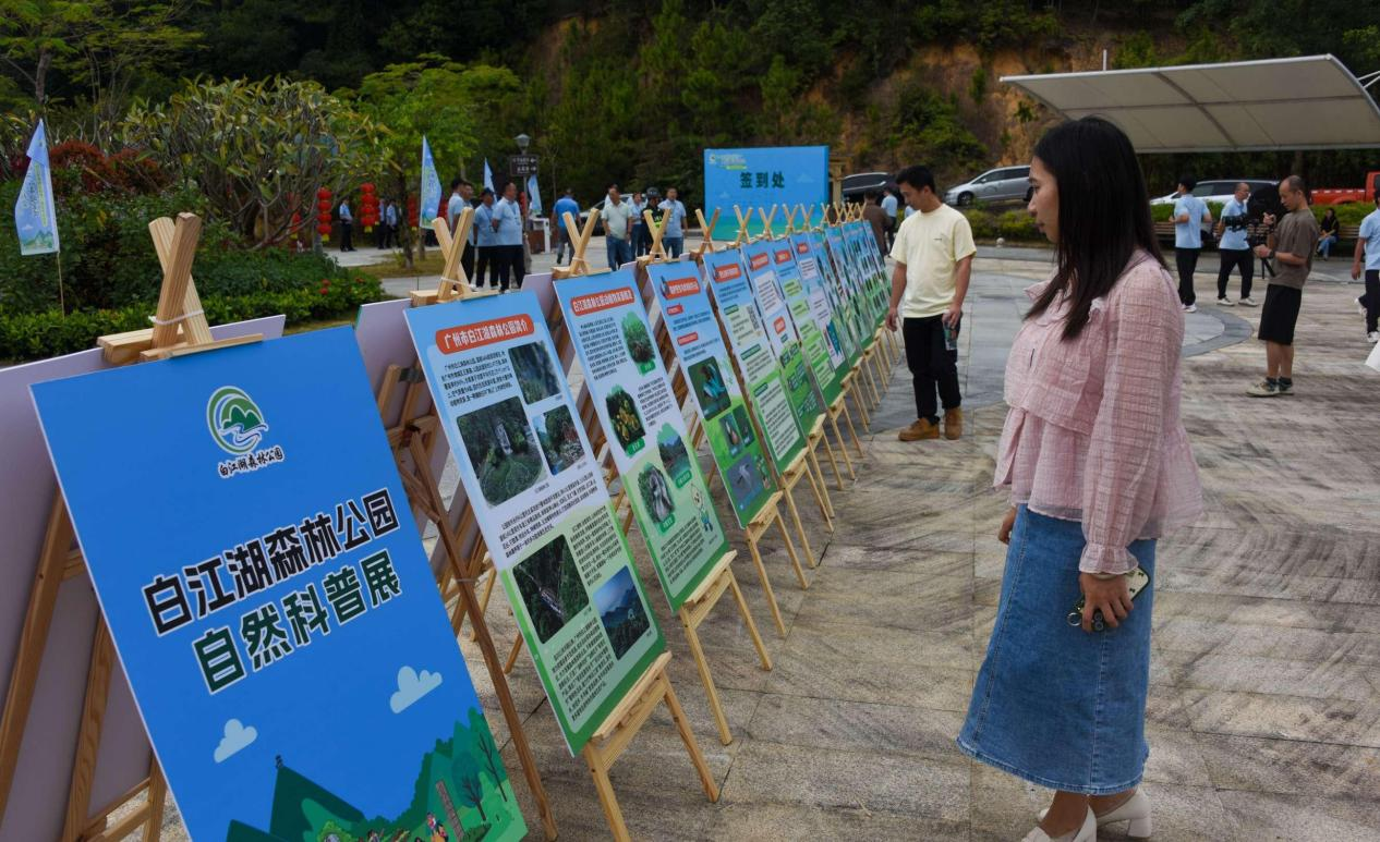 游客在观看主题展