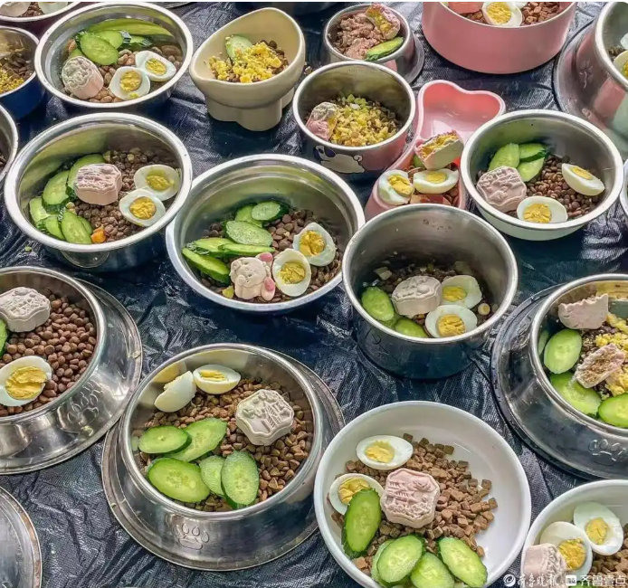 (为狗狗们做的鲜食月饼 齐可意提供)