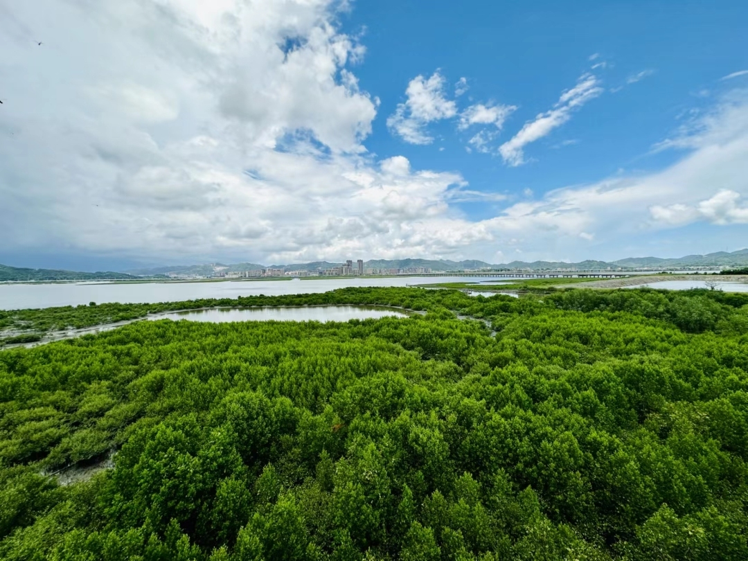 惠州市好招樓濕地公園綠美點