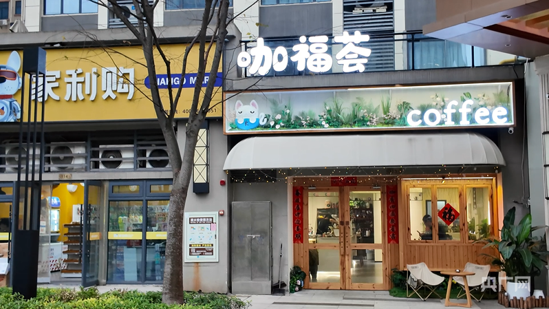 “小账本”里的“大民生”｜返乡青年创业梦激活县域“咖啡经济”