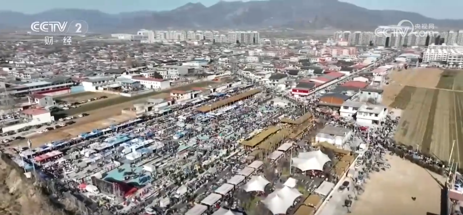 不朽情缘|仙踪林19岁RAPPER潮水偷