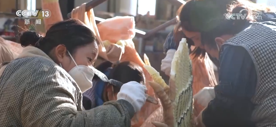 “新年兽”变身文旅市场“流量主角”“智能制造”为年味儿增添科技奇幻色彩(图5)