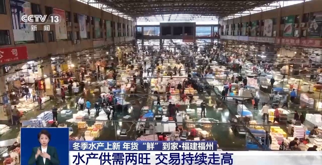 应季水产品大量上市 你家餐桌上的海鲜可能来自这里