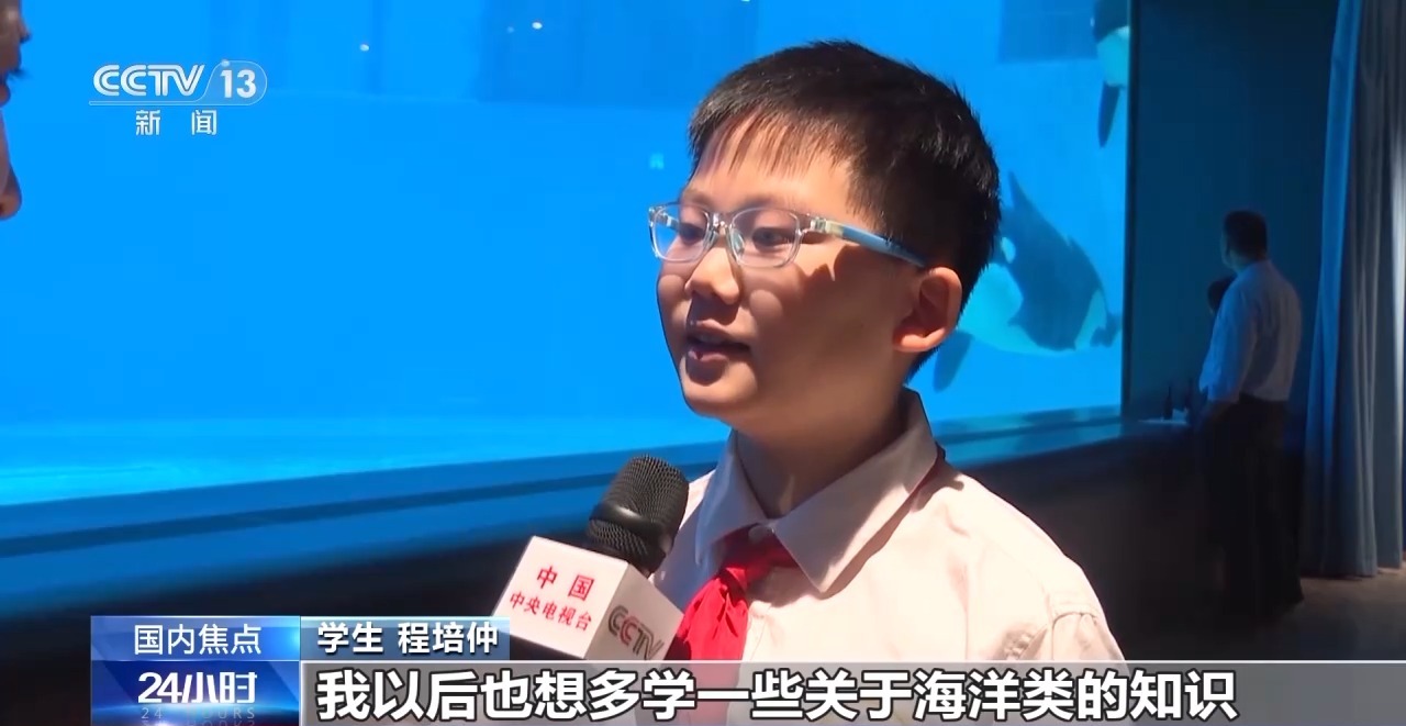 金雕、豹猫等放归自然八达岭林场迎特殊“归客”(图5)