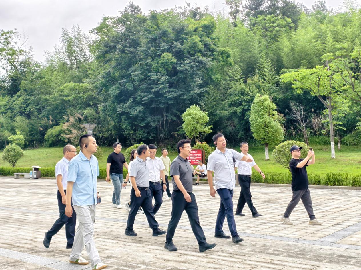 调研组走访蔡锷故里景区(胡娜/摄)