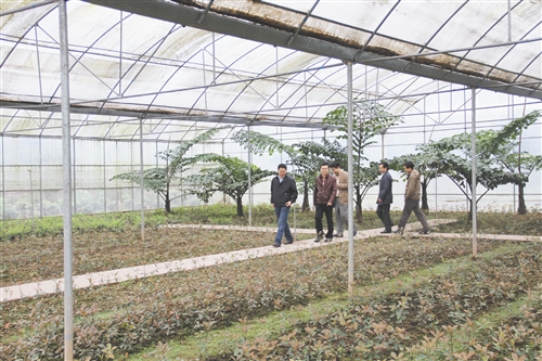 重庆农商行电话_重庆农商行收入(3)