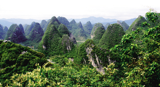 坚持不懈综合治理石漠化加快生态恢复和脱贫致