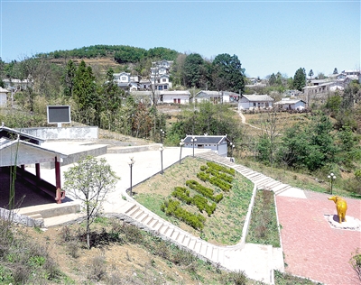 汽车品牌占有量_森林的人均占有量