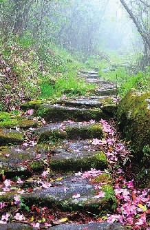 古色平汝 时光发酵的传奇_党建_共产党员网