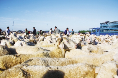 转型:让资源潜能充分迸发