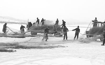 冬季,地产鱼都去哪了