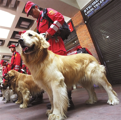 中国国际救援队完成尼泊尔地震救援任务回国