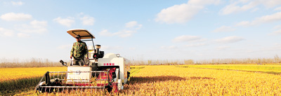 联耕联种 能否推动中国农业新飞跃(人民眼·本