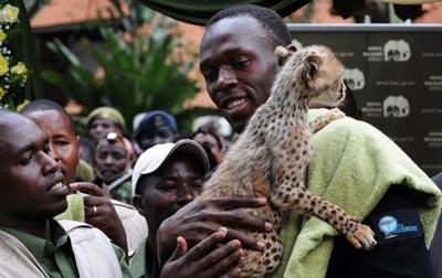 Bolt&nbsp;et&nbsp;son&nbsp;bébé&nbsp;guépard&nbsp;