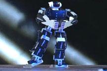 Robot Show