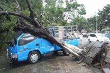 Severe storms in South China kill 12