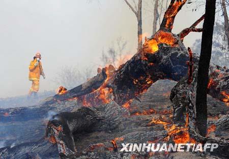Firefighters&nbsp;in&nbsp;Australia&nbsp;are&nbsp;battling&nbsp;140&nbsp;blazes&nbsp;across&nbsp;New&nbsp;South&nbsp;Wales&nbsp;as&nbsp;scorching&nbsp;temperatures&nbsp;and&nbsp;strong&nbsp;winds&nbsp;continue&nbsp;to&nbsp;complicate&nbsp;efforts.&nbsp;