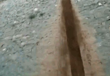 中国新闻 来源:央视网 2016年08月14日 17:07a-a  我要分享 qq空间