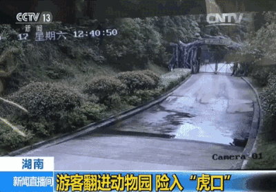 电脑更新后不能翻墙了