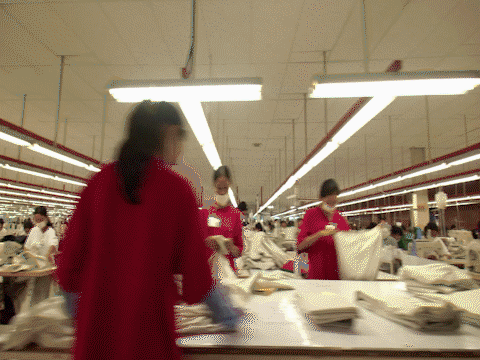 喜迎妇女十二大·数说新成就系列短片 | 学霸,中