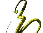 十二生肖之蛇专题-cntv动画台-中国网络电视台