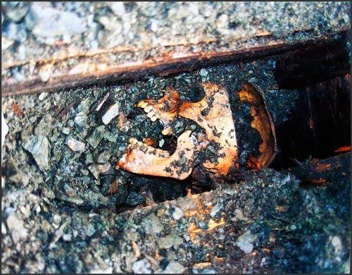 前苏联劳改营遍布白骨 科学家曾摘取活人大脑(图)