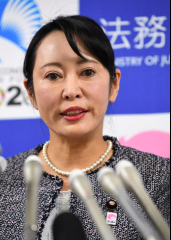 戈恩说完了轮到日本政府说了