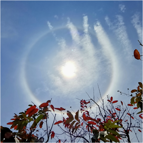 日晕福州今天的太阳自带光环