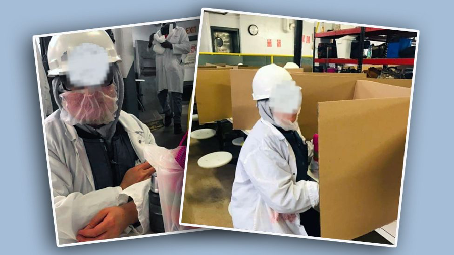 BBC@真相丨美国猪肉加工厂超800人感染 BBC万字长文揭秘内部故事