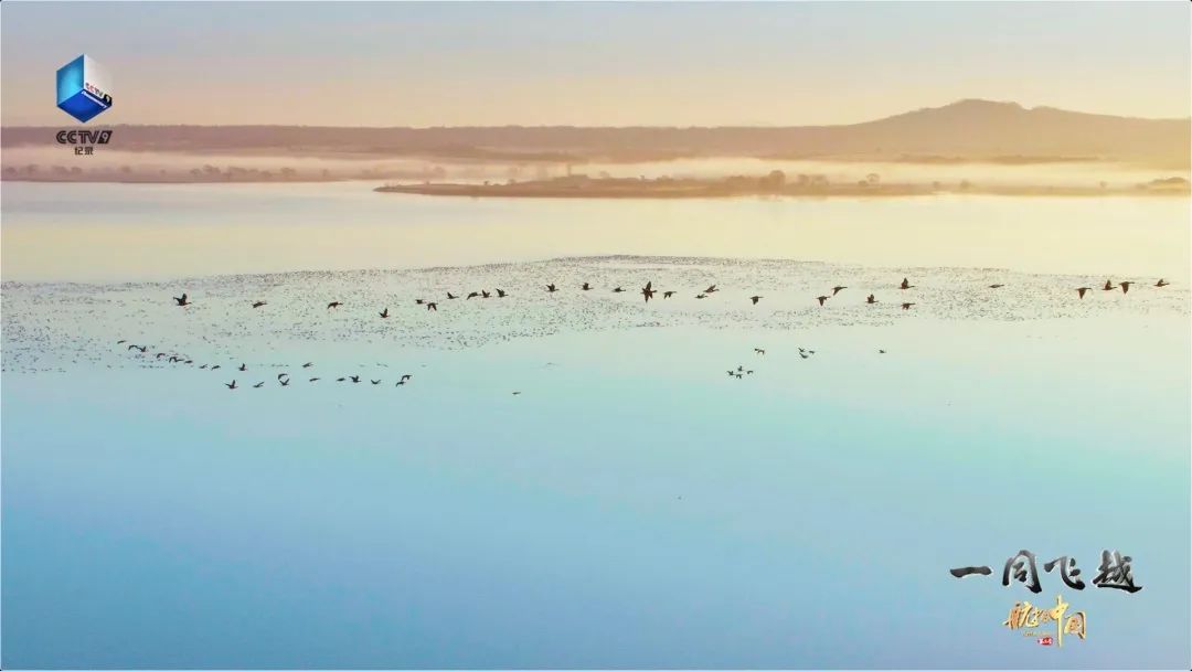 吉林西北的松辽湖的消失为大地留下一片片沼泽,湖泡,湿地,但也给这里