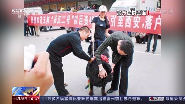 打网破伞 陕西蔡国强涉黑涉恶案详情披露西安市公安局原副局长落马 打网破伞 陕西蔡国强涉黑涉恶案详情披露西安市公安局原副局长落马